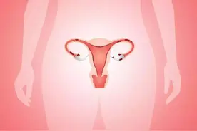 女人子宫没了，和正常人有什么区别？哪些疾病要进行子宫切除？图片