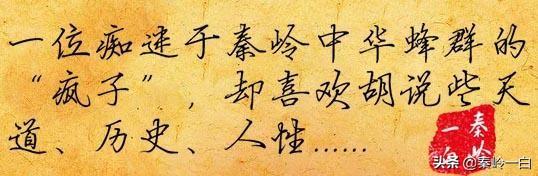 王冕简介（王冕一个元朝的农民艺术家）