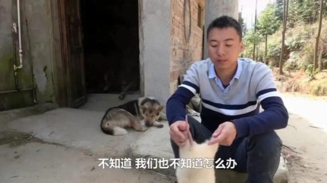 日本电影鸡皮疙瘩百度云资源