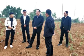 商城县信振办工作动态之五十五——市人大常委会副主任、县委书记李高岭调研脱贫攻坚和乡村振兴有效衔接工作图片