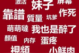 什么？大陆流行语风靡台湾，又被扯“文化渗透”了图片