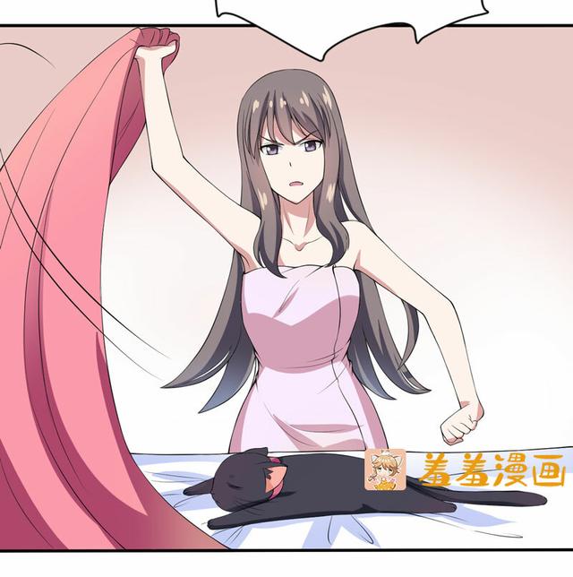 夜路走多了，竟捡到宝，带着巨钻的小黑猫一只