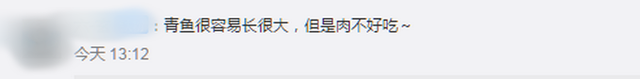 青根鱼 2025年青根鱼是什么鱼 青根鱼 2025年青根鱼是什么鱼