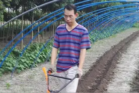新式“打药机”一出，喷雾器扔了吧！省时省工，家家用得起图片