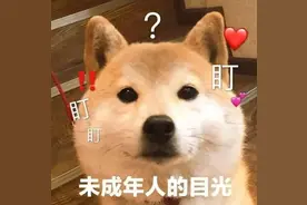 被女生偷偷牵了手是什么体验？把我当成男朋友了，哈哈图片