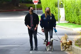 索菲·特纳和老公遛狗，两人遛着三条狗子，画面十分温馨图片