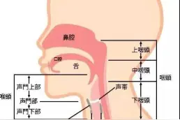 这种病常见，还和病毒有关，尤其是天气寒冷时图片