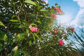 即刻出发，在腾冲寻觅那份独享的美好吧！图片