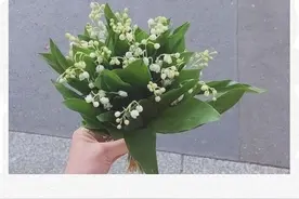 我深知我留不住你，所以我不言不语图片