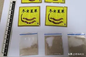 毒贩竟在“冬虫夏草”里藏毒，这些新型毒品的伪装有必要了解一下！图片