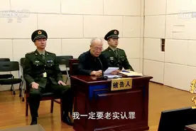 军报再批郭伯雄、徐才厚、房峰辉、张阳四个“军虎”图片