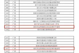 厉害了！来宾这个乡有望评上两个“全国乡村旅游重点村”图片