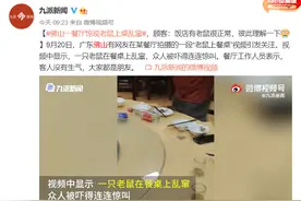 广东佛山一餐厅老鼠上桌乱窜！客人被吓得连连惊叫图片