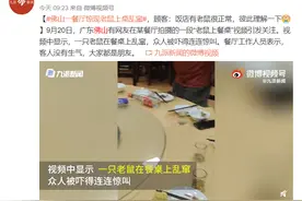 广东佛山一餐厅老鼠上桌乱窜！客人被吓得连连惊叫图片