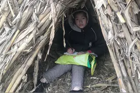 豫鄂一家亲！十堰“草棚女孩”，你在南阳“火”了图片