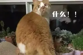 消防员灭火救援要收费？图片