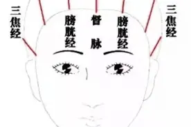 每天都在梳头，你真的梳对了吗？图片