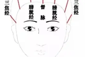每天都在梳头，你真的梳对了吗？图片