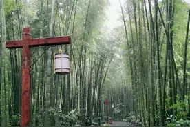 国家4A级景区，又有“万亩竹海”之称的南山竹海图片