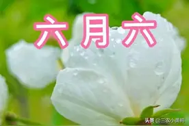 今天六月初六，农村老人说：六月六宜晴不宜雨，答案来了图片