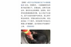 河南焦作：奇葩！男子无证驾驶被拦钻下水道躲猫猫图片