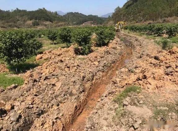 又一波降雨到来，果园管理应该注意什么？
