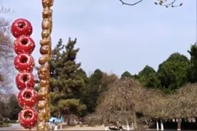 拜年习俗知多少？说说我老家南阳不一样的拜年习俗图片