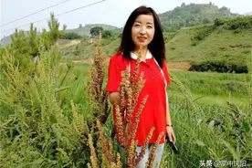 甘肃庆阳驻村干部王红梅：真情像梅花开过图片