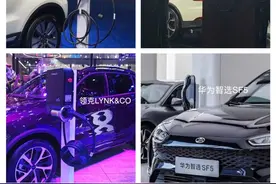 分享几个特斯拉第三方充电桩方案，给纠结挚达、普诺得的车友参考图片