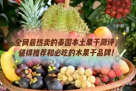 全网最热卖的泰国本土果干测评，值得推荐和必吃的水果干品牌图片