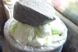 老农：塑料布和盐巧搭配，淹制酸菜不腐烂图片