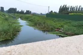 永清生态公园附近又热闹起来了图片