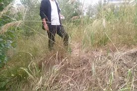 毗邻火车站、与郑大一附院仅一路之隔，郑州这一黄金地段却“荒芜”9年！咋回事？图片