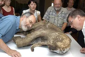 全球各处冻土层融化，发现5种史前生物遗骸，人类该提高警惕了？图片