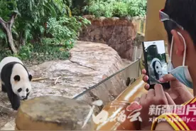 阿卜杜艾尼受邀畅游长隆野生动物世界：火烈鸟比我想象中的好看多了图片