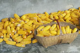 12条冷知识：你很有可能从未听说过，但是却真实存在又有趣图片