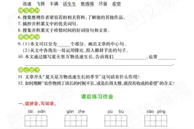 六年级语文上册+预习单+练习册（5-8单元）图片