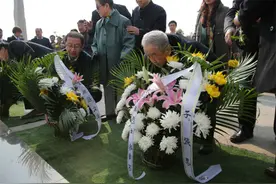 烈士园陵献花用什么花？除了菊花，还有松柏等植物表达崇敬之情图片