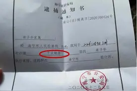 辛巴背后神秘壕爷被抓，开赌场设10亿骗局，多位大学生宝妈上当图片