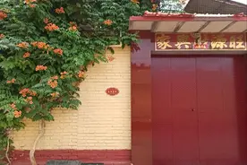 全国文明村镇｜静海小高庄：乡村风景美百姓生活好图片