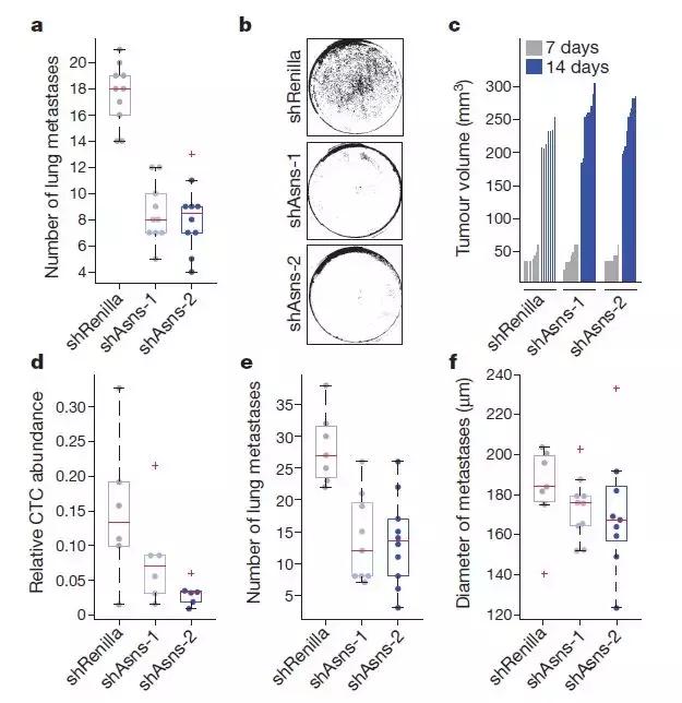 一个氨基酸引出的乳腺癌耐药靶点