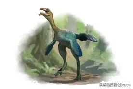恐龙要复活？我国科学家在恐龙化石中，发现疑似DNA，能否克隆呢图片