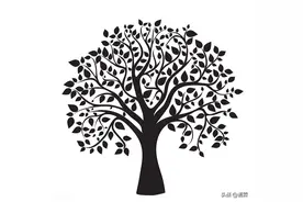 B+树，B树，Hash Index图片