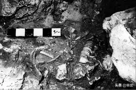 人类进化史也是一部灭绝史：北京猿人惨遭屠杀，还被当成食物图片