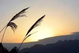 余生很贵，请珍惜健康，善待自己（深度好文）图片