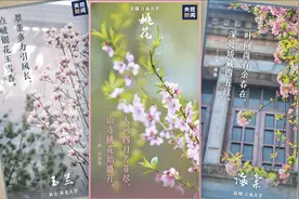 养眼！真“校花”合集来了图片