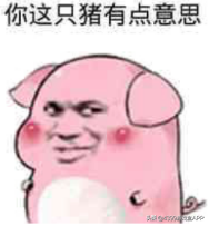 正义蜘猪侠、坏蛋绿小猪。猪年盘点，细数那些疯狂的猪猪游戏