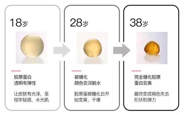 歌歌兰妮身体乳优惠券