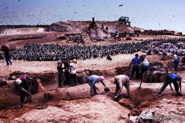 沙漠之战：三国为鸟粪战死3万士兵，战败国直接变成内陆国