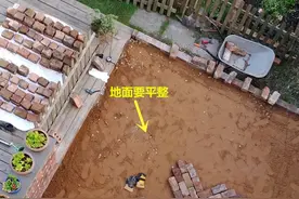 家里有个小院，不请工人我自己用1000块红砖铺地，比打水泥效果好图片